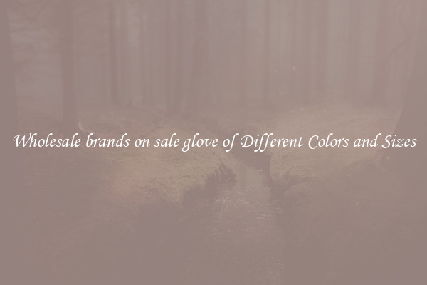 Wholesale brands on sale glove of Different Colors and Sizes