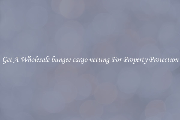 Get A Wholesale bungee cargo netting For Property Protection
