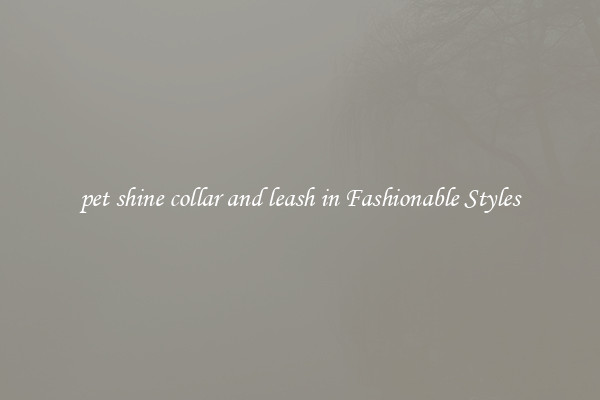 pet shine collar and leash in Fashionable Styles