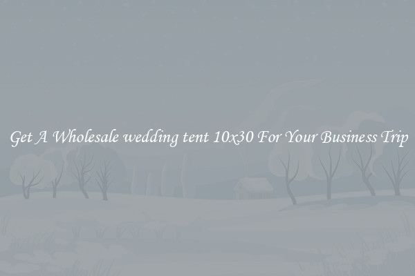 Get A Wholesale wedding tent 10x30 For Your Business Trip