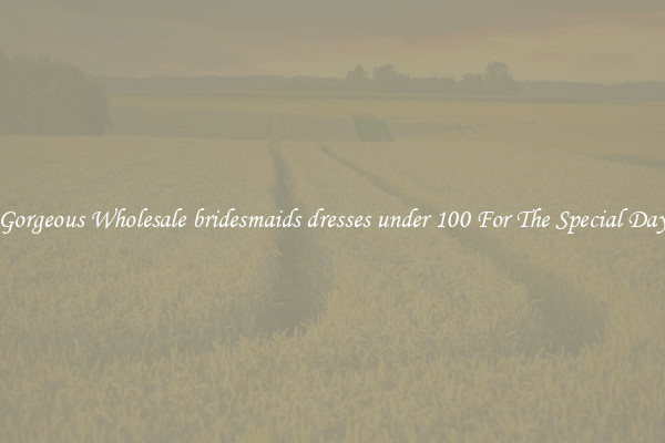 Gorgeous Wholesale bridesmaids dresses under 100 For The Special Day