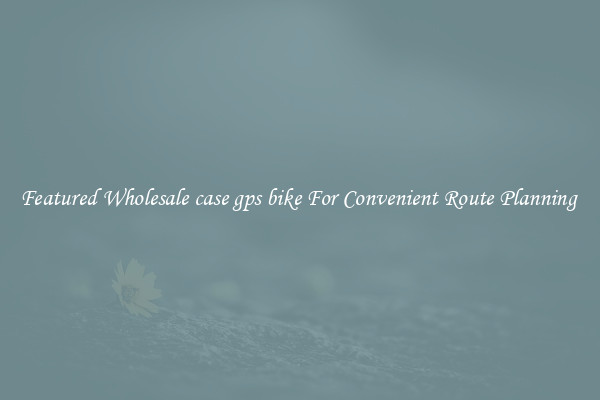 Featured Wholesale case gps bike For Convenient Route Planning 