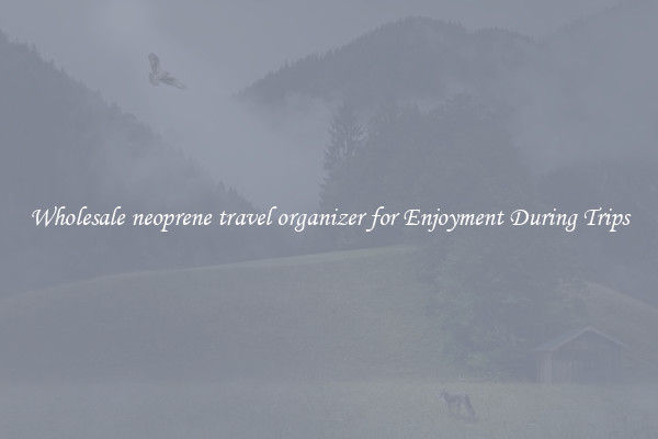 Wholesale neoprene travel organizer for Enjoyment During Trips