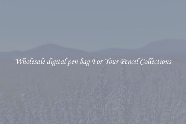 Wholesale digital pen bag For Your Pencil Collections
