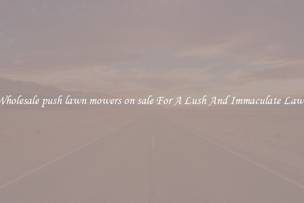 Wholesale push lawn mowers on sale For A Lush And Immaculate Lawn