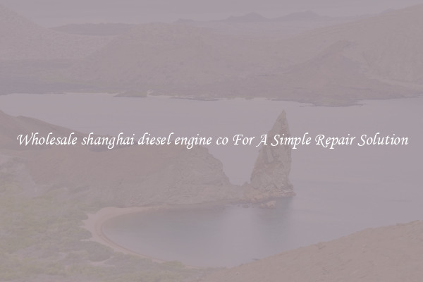 Wholesale shanghai diesel engine co For A Simple Repair Solution
