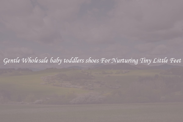 Gentle Wholesale baby toddlers shoes For Nurturing Tiny Little Feet