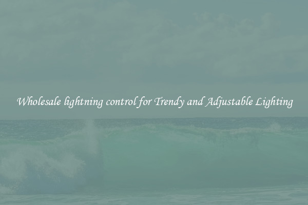 Wholesale lightning control for Trendy and Adjustable Lighting