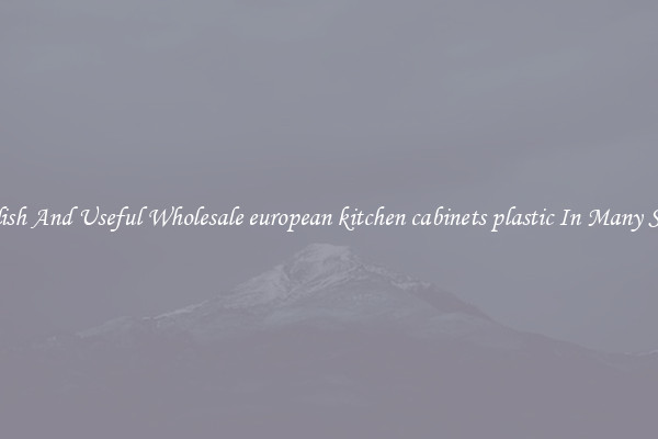 Stylish And Useful Wholesale european kitchen cabinets plastic In Many Sizes