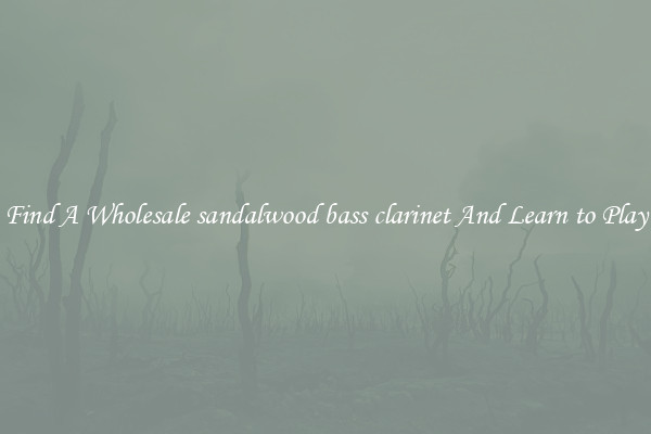 Find A Wholesale sandalwood bass clarinet And Learn to Play