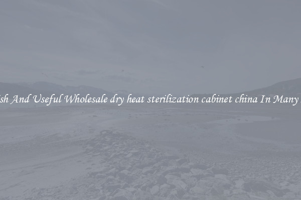 Stylish And Useful Wholesale dry heat sterilization cabinet china In Many Sizes