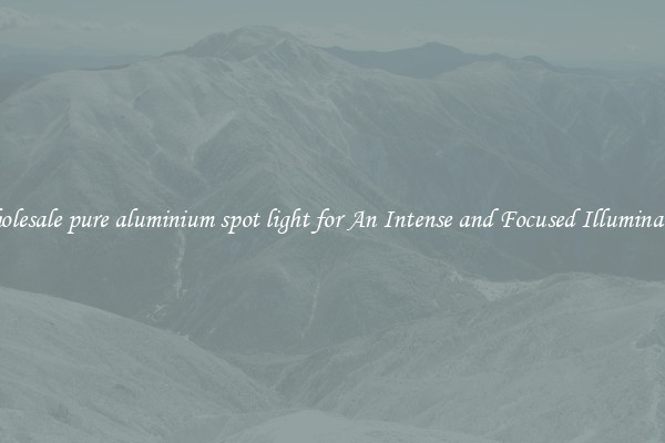 Wholesale pure aluminium spot light for An Intense and Focused Illumination