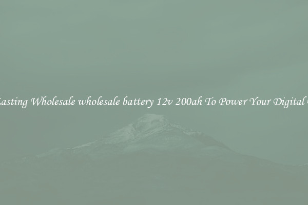 Long Lasting Wholesale wholesale battery 12v 200ah To Power Your Digital Devices