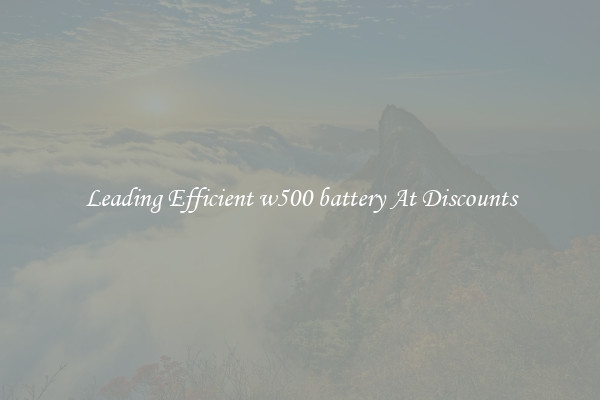 Leading Efficient w500 battery At Discounts