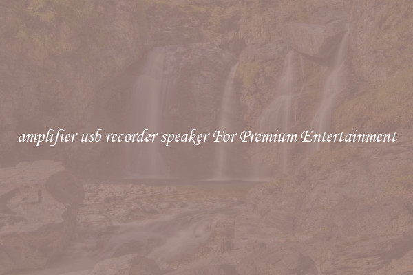 amplifier usb recorder speaker For Premium Entertainment