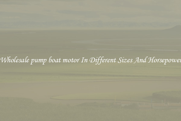 Wholesale pump boat motor In Different Sizes And Horsepower