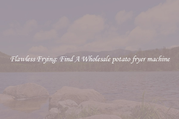 Flawless Frying: Find A Wholesale potato fryer machine