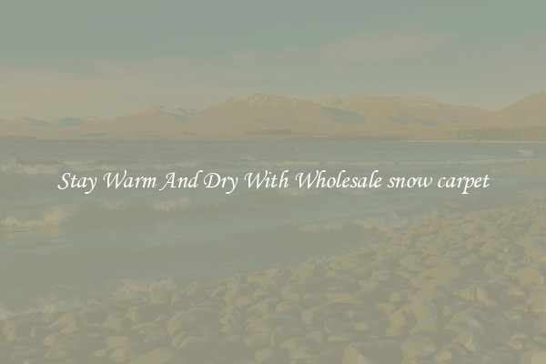 Stay Warm And Dry With Wholesale snow carpet